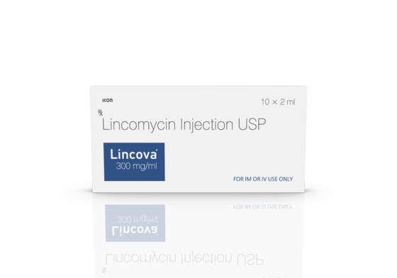 Lincova 300 Injection