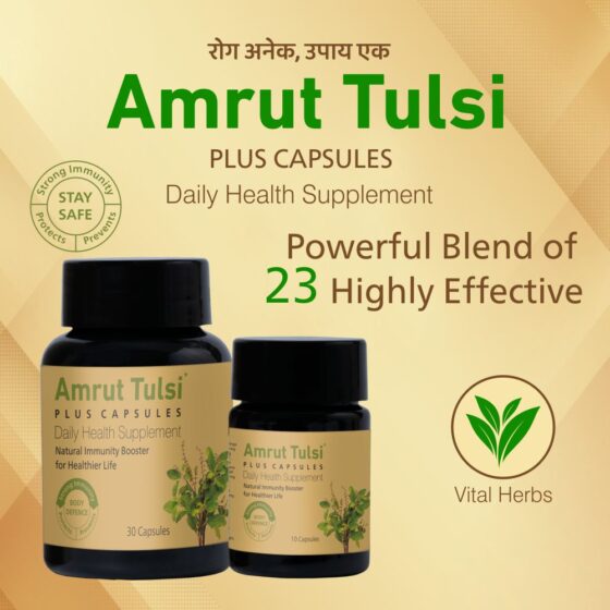 Amrut Tulsi Plus Capsules 30 Cap - Image 2