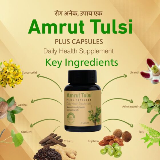 Amrut Tulsi Plus Capsules 30 Cap - Image 3