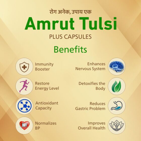 Amrut Tulsi Plus Capsules 30 Cap - Image 4