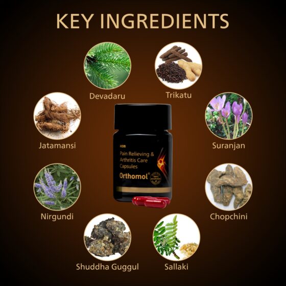 Orthomol Capsules 10 Cap - Image 3