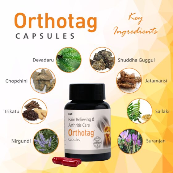 Orthotag Capsules 60 Cap - Image 3